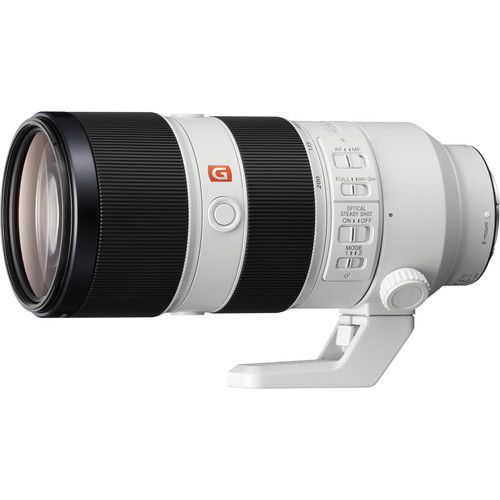 Sony GM 70-20